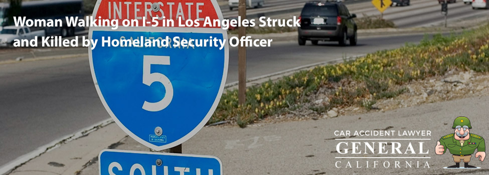 Woman Walking on I-5 in Los Angeles Struck and Killed by Homeland Security Officer